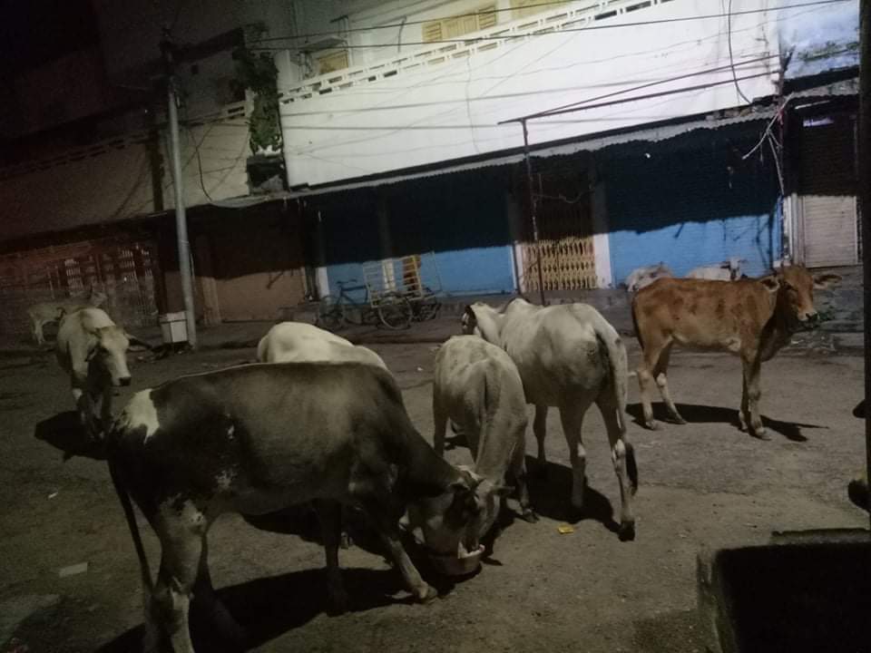 received_363986824987473